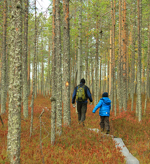 Hiking-Finland-Nature-travel