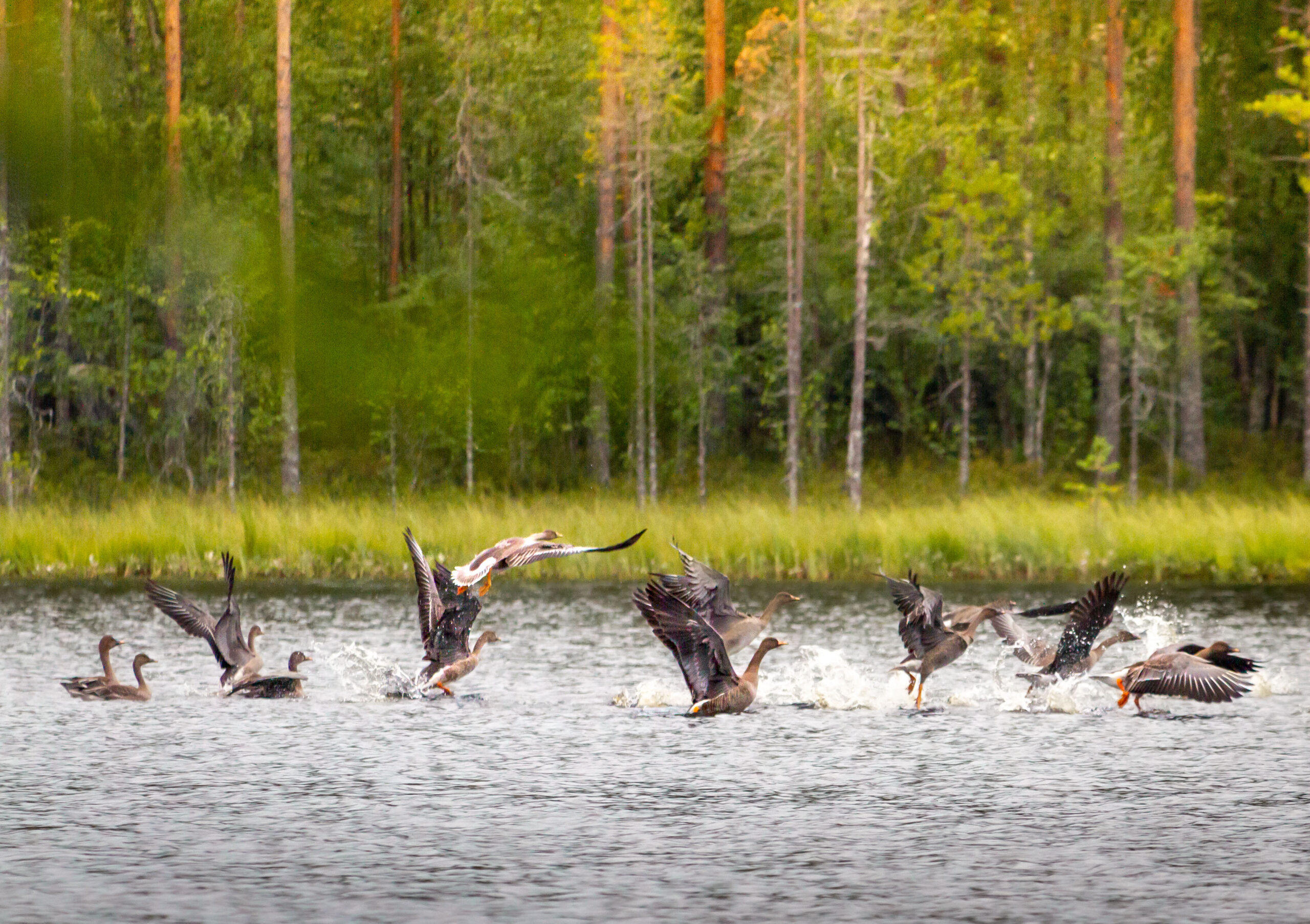 Travel hotel Finland holiday