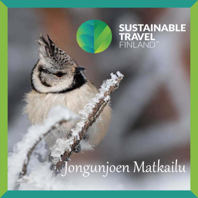 Sustainable travel certificate